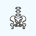 骨盤の痛みイメージ